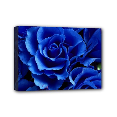 Blue Rose Flower Plant Romance Mini Canvas 7  X 5  (stretched) by Wegoenart