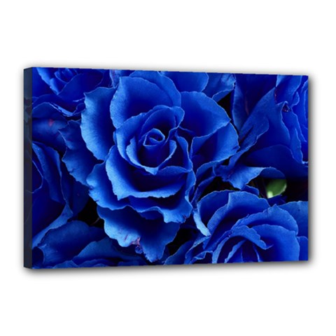 Blue Rose Flower Plant Romance Canvas 18  X 12  (stretched) by Wegoenart