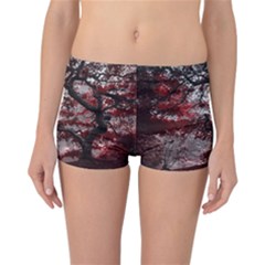 Tree Red Nature Abstract Mood Reversible Boyleg Bikini Bottoms by Ravend