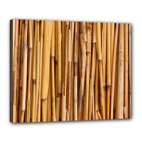 Asian Background Bamboo Canvas 20  X 16  (stretched) by Wegoenart