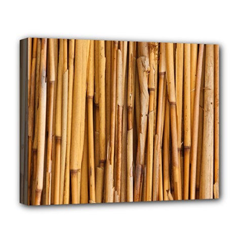 Asian Background Bamboo Deluxe Canvas 20  X 16  (stretched) by Wegoenart