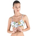 Abstract Abstraction Biology Chemistry Detail Genetics Tie Up Cut Bikini Top View1