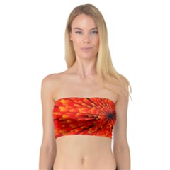 Red Orange Illustration Background Abstract Bandeau Top by Wegoenart