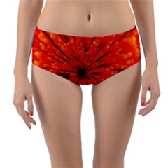 Red Orange Illustration Background Abstract Reversible Mid-waist Bikini Bottoms by Wegoenart