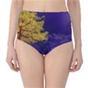 Landscape Illustration Night Light Classic High-Waist Bikini Bottoms View1