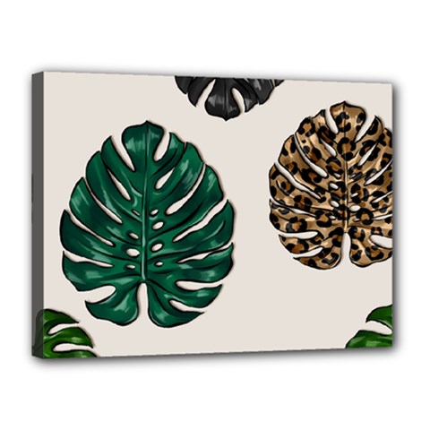 Colorful Monstera  Canvas 16  X 12  (stretched) by ConteMonfrey