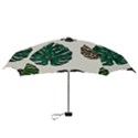 Colorful Monstera  Mini Folding Umbrellas View3