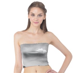 Matterhorn Switzerland Mountain Nature Tube Top by Wegoenart