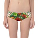 Flower Stained Glass Window Classic Bikini Bottoms View1