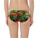 Flower Stained Glass Window Classic Bikini Bottoms View2