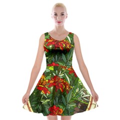 Flower Stained Glass Window Velvet Skater Dress