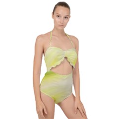 Gradient Green Yellow Scallop Top Cut Out Swimsuit by ConteMonfrey