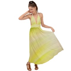 Gradient Green Yellow Backless Maxi Beach Dress by ConteMonfrey