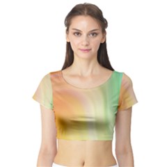 Gradient Orange, Green - Colors Fest Short Sleeve Crop Top by ConteMonfrey