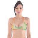 Gradient orange, green - Colors fest Plunge Bikini Top View1