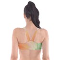 Gradient orange, green - Colors fest Plunge Bikini Top View2