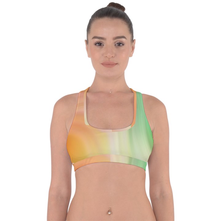 Gradient orange, green - Colors fest Cross Back Hipster Bikini Top 