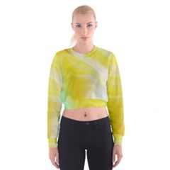 Gradient Green Yellow Cropped Sweatshirt by ConteMonfrey