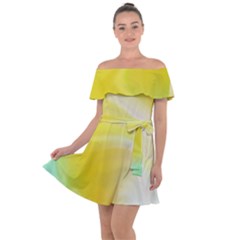 Gradient Green Yellow Off Shoulder Velour Dress by ConteMonfrey