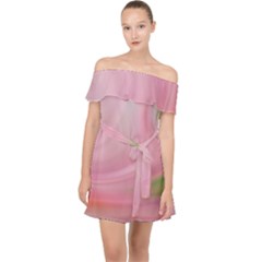 Gradient Pink Green Orange Off Shoulder Chiffon Dress by ConteMonfrey