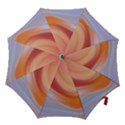 Gradient  orange green red Hook Handle Umbrellas (Small) View1