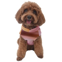 Gradient Brown, Green, Pink, Orange Dog Sweater by ConteMonfrey