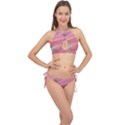 Gradient pink green Cross Front Halter Bikini Set View1