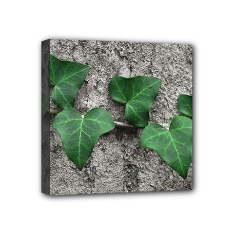 Vine On Damaged Wall Photo Mini Canvas 4  X 4  (stretched) by dflcprintsclothing