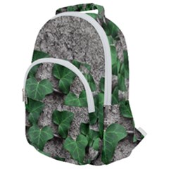 Vine On Damaged Wall Photo Rounded Multi Pocket Backpack by dflcprintsclothing