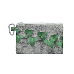 Vine On Damaged Wall Photo Canvas Cosmetic Bag (small) by dflcprintsclothing