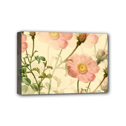 Flowers Petals Stem Bouquet Flora Floral Bloom Mini Canvas 6  X 4  (stretched) by Wegoenart