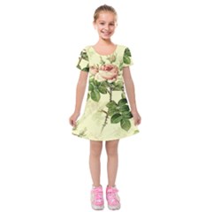 Roses Flowers Vintage Pattern Retro Floral Stem Kids  Short Sleeve Velvet Dress