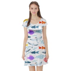 Animal Fish Bird Animals Ocean Pattern Short Sleeve Skater Dress by Jancukart