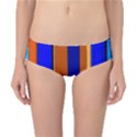 Abstract Blue And Orange 930 Classic Bikini Bottoms View1