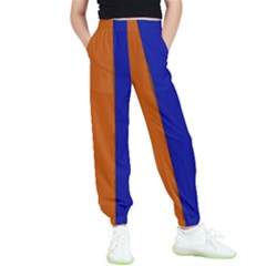 Abstract Blue And Orange 930 Kids  Elastic Waist Pants