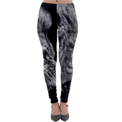 Roar Angry Male Lion Black Lightweight Velour Leggings by danenraven