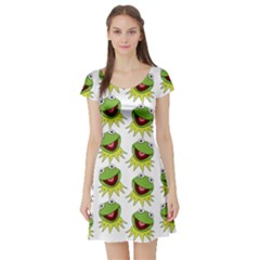 Kermit The Frog Short Sleeve Skater Dress by Valentinaart