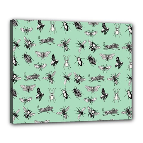 Insects Pattern Canvas 20  X 16  (stretched) by Valentinaart