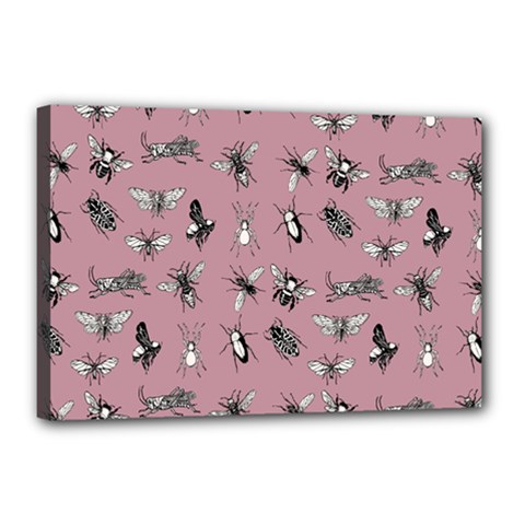 Insects pattern Canvas 18  x 12  (Stretched)