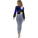 Abstract 2322  Long Sleeve Deep-V Velour Top View4