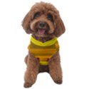 Yellow And Gold Horizontal Stripes - Abstract Art Dog Sweater View1