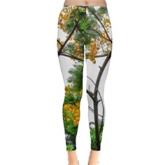 Tree Sunlight Forest Nature Landscape Sunrise Fog Leggings  by danenraven