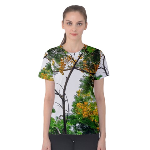 Tree Sunlight Forest Nature Landscape Sunrise Fog Women s Cotton Tee by danenraven