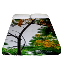 Tree Sunlight Forest Nature Landscape Sunrise Fog Fitted Sheet (king Size) by danenraven