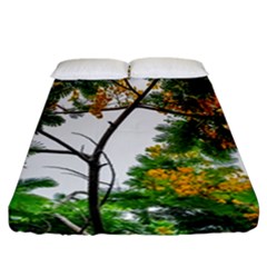 Tree Sunlight Forest Nature Landscape Sunrise Fog Fitted Sheet (california King Size) by danenraven