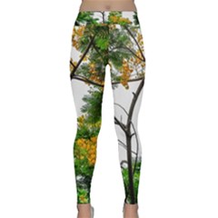 Tree Sunlight Forest Nature Landscape Sunrise Fog Classic Yoga Leggings by danenraven