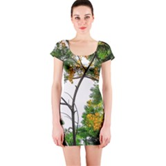 Tree Sunlight Forest Nature Landscape Sunrise Fog Short Sleeve Bodycon Dress by danenraven