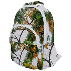 Tree Sunlight Forest Nature Landscape Sunrise Fog Rounded Multi Pocket Backpack by danenraven