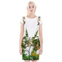 Tree Sunlight Forest Nature Landscape Sunrise Fog Braces Suspender Skirt View1