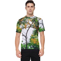 Tree Sunlight Forest Nature Landscape Sunrise Fog Men s Short Sleeve Rash Guard by danenraven